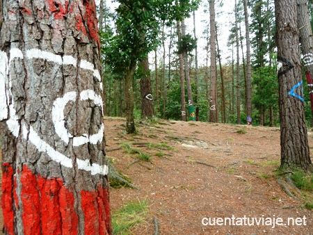 Bosque de Oma, Kortezubi (Bizkaia).